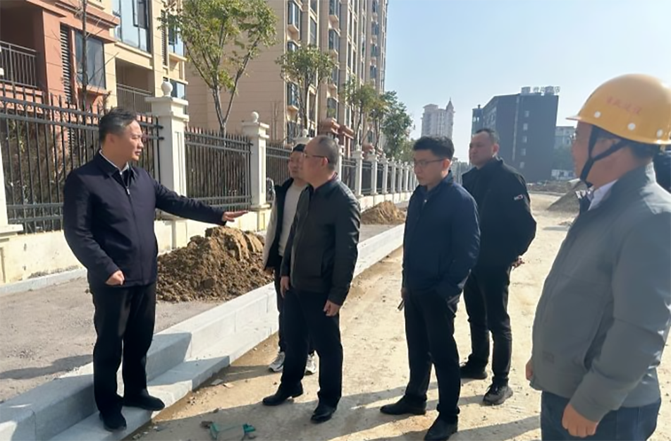 青山湖區(qū)黨委副書記、區(qū)長楊育星到利民路項目調(diào)研